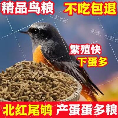 能说会唱亲鸟食饲料专用