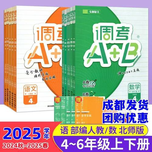 2025成都小学四五六年级调考a+b