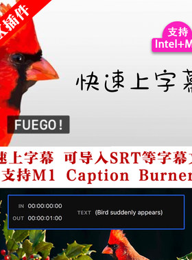 fcpx插件快速上字幕 可导入SRT等字幕文件 支持M1 Caption Burner
