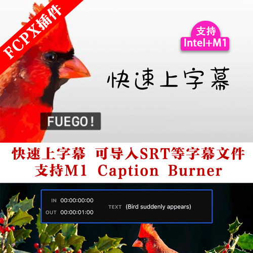fcpx插件快速上字幕 可导入SRT等字幕文件 支持M1 Caption Burner