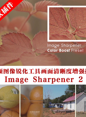 fcpx中文汉化插件视频图像锐化增强插件Image Sharpener 2升级版