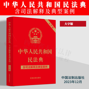 中国法制出版 大字版 含司法解释及典型案例 2023新版 社 中华人民共和国民法典 9787521631425