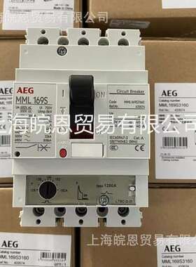 FDH436TD063ED FDH436TD080GD FDH436TD100GD 125GD 160GD德国AEG