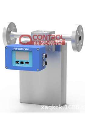 雷奥尼克变送器RHM100E2PNNNN科氏力质量流量计 湖北技术支持
