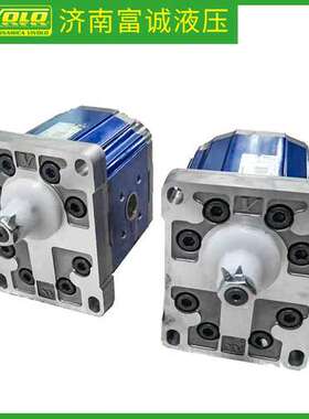 意大利VIVOLO泵液压站油泵XV-3P/47cc原装正品Vivoil高压齿轮泵