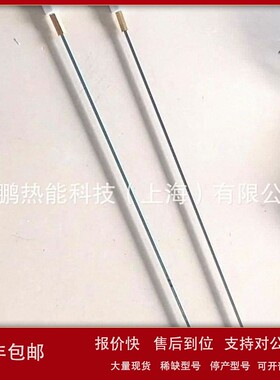 意大利Baltur/百得燃烧器TBG45TBG45P离子探针/火焰探测棒议价