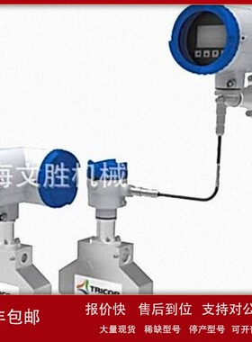 德国KEM流量计TCMP 0325议价
