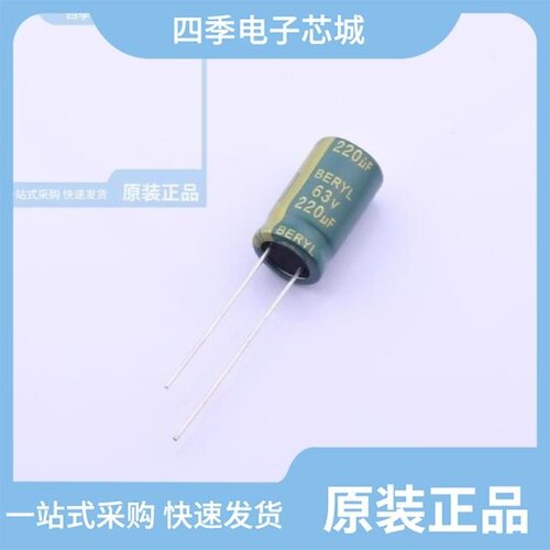 RC063M221LO10*16TH-2A1E 价格