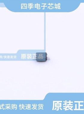 GBLC36CI-MS/GSOT05C-MS/HT1621(SSOP24)