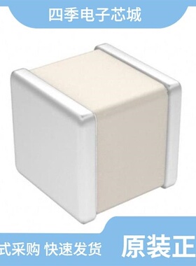 100B0R7BCA500X/100A8R2CCA150X/100B0R5BT500X