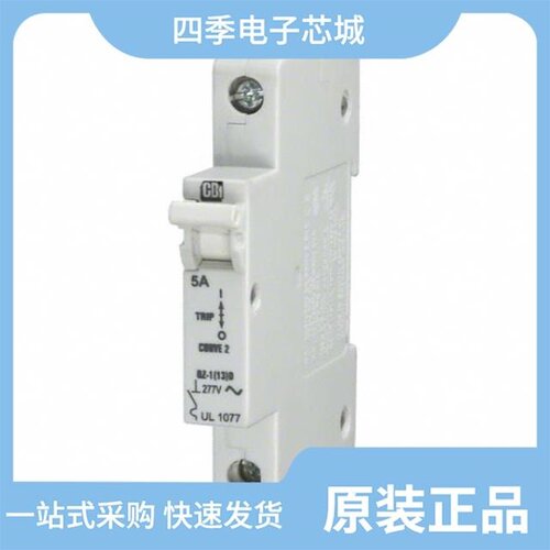 C5A1P-489/C5A2P-125VDC/C5A2P-GFI