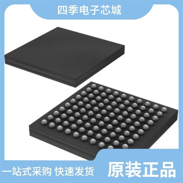 DS3171N+ DS3170N+ DS3172+