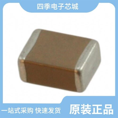 202R29W222KV4E/202S43W103MV4E/202S48W223KV4E