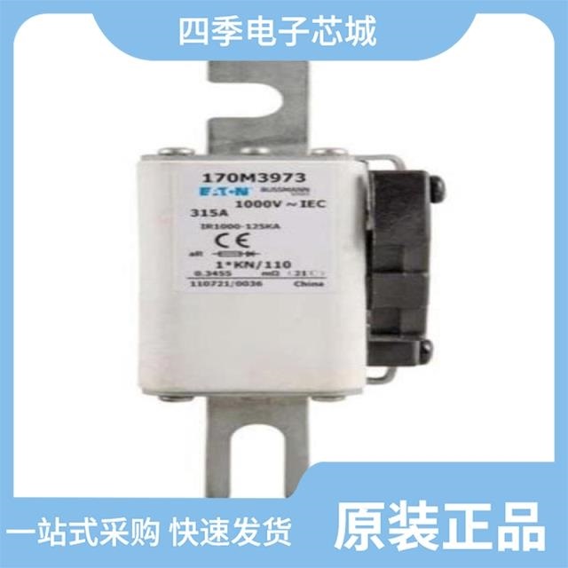 170M8557D 170M8506 170M8621