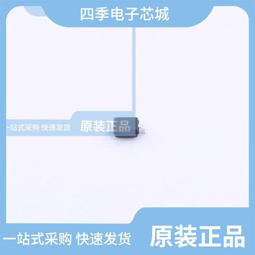 GSOT05C-MS/HT1621(SSOP24)/GBLC36CI-MS