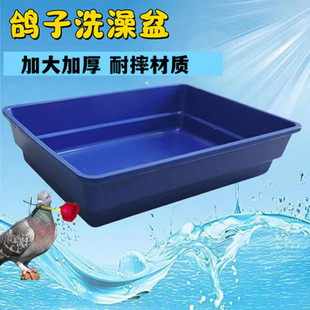 赛鸽信鸽家鸽专用大号澡盆鸽子洗澡盆浴盆 鸽子用品用具 鸽具