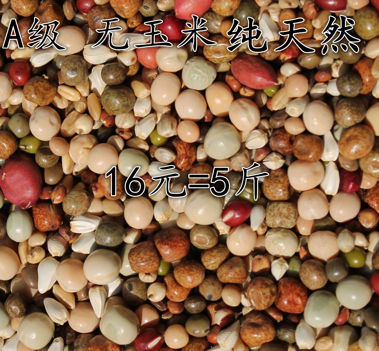 A级无玉米鸟食料粮饲料