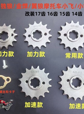 嘉陵摩托车小飞独狼金悍翼狼改装小链轮13齿14齿15齿16齿17齿链盘