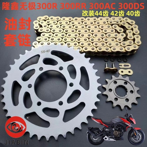 隆鑫无极LX300油封链条套链