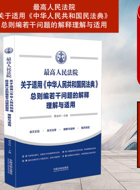 民法典总则编解释理解与适用
