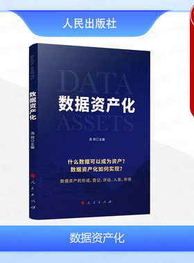 数据资产化汤珂人民出版社