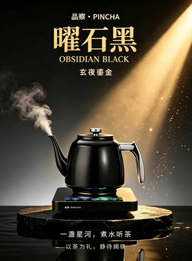 品察纯钛触摸屏智能Ai双层真空泡茶壶恒温家用自动上水电热烧水壶
