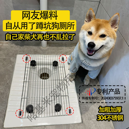 蹲坑狗厕所蹲厕狗厕所不锈钢网架
