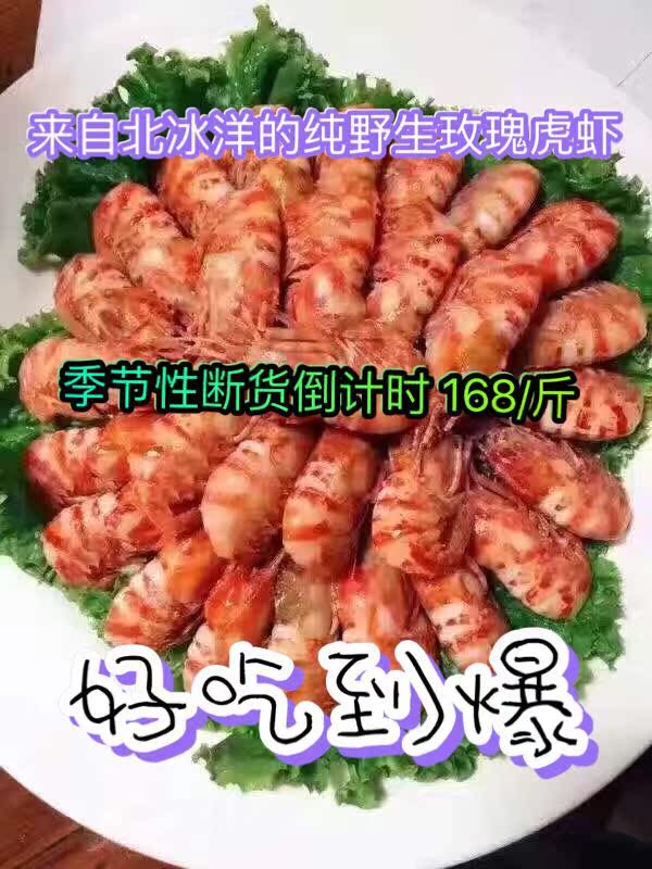 北冰洋進口純野生深海玫瑰虎蝦冰蝦生吃含鐵鋅營養美容補鈣滿包郵