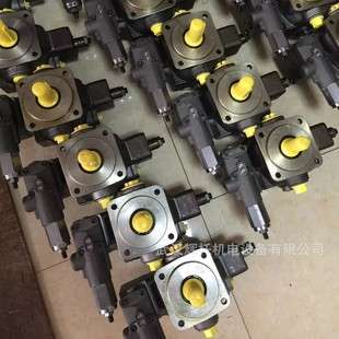 力士乐叶片泵R901031658 PVV21-1X/068-046RA15UUMB