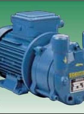 意大利 ROBUSCHI 真空泵 ROBUSCHI RVS21/SG-02