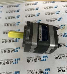 IPV6-64-101德国福伊特油泵VOITH IPV6-64-171 IPCP6-64-101