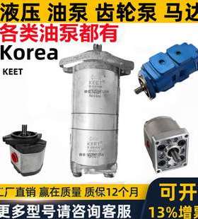 Korea韩国aseda液压油齿轮泵马达SAP10D4R sap sam 10 20 30 0.5