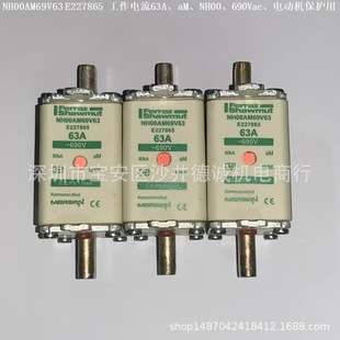 NH1AM50V100 D232510 熔断器 100A、NH1、aM、500Vac、电动保护用