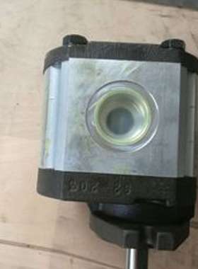 意大利RONZIO罗茨 02ZCG06L434AD 全系齿轮泵 液压马达 选型 参数