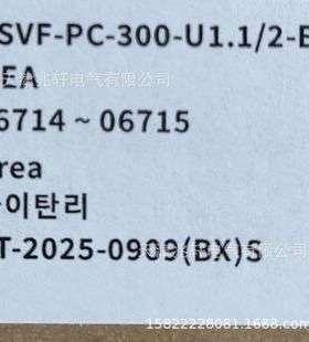 SVF-PC-300-U1.1/2-E流量计SEBA流量计韩国流量计