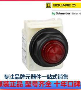 SQUARE-D美商实快9001SKP1R31 红色 按钮指示灯Schneider