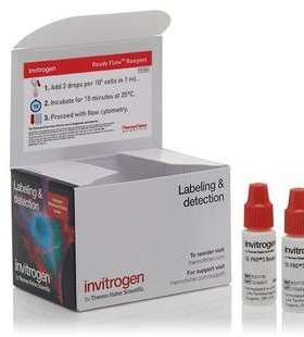 R37170 赛默飞 TO-PRO 3 试剂 明亮且易于使用的核酸染色剂