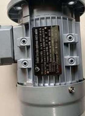 THREE PHASE三相电机GS8024 GS7124 DELI马达 涡轮减速机
