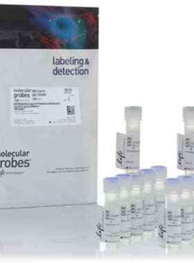 L34974赛默飞LIVE/DEAD可固定远红外死细胞染色剂试剂盒Thermo