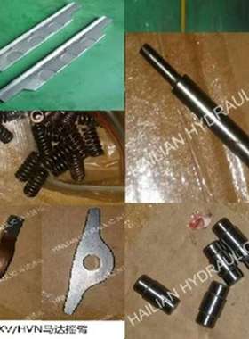 顶杆叶片摇臂IHI HVL马达备件MOTOR SPARES For Luffing Crane