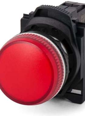 AB 800FP-P4PN5R Allen Bradley 800F面板 红色LED指示灯 22毫米