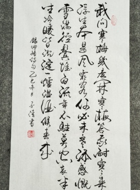 书法定制手写真迹人生感悟我问寒梅几度开寒梅答我耐寒来浮生本…