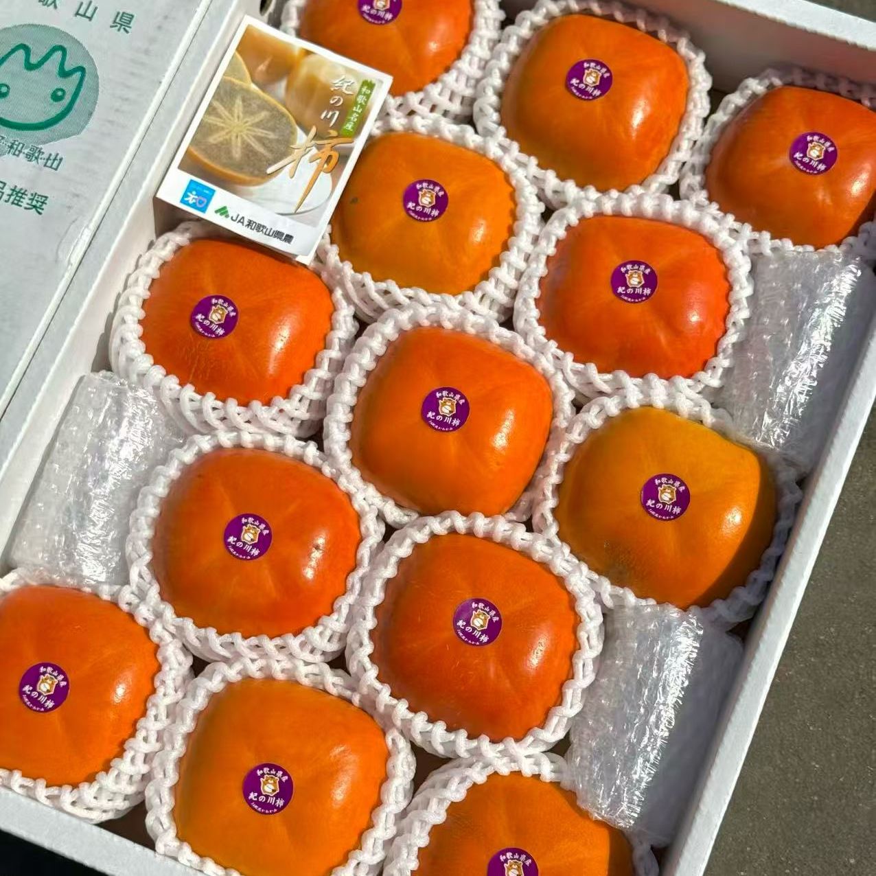 北京闪送 6粒 12粒 和歌山纪川黑柑柿 柿子 香甜 纯甜 当季水果