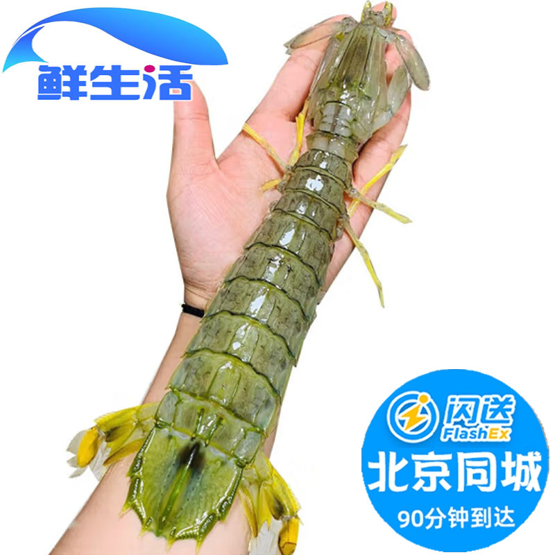 超大泰国鲜活富贵虾濑尿虾皮皮虾