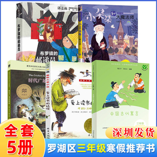 深圳市罗湖区小学三3年级下学期寒假推荐阅读书目全5册小朵朵和大魔法师中国古代寓言时代广场的蟋蟀爱上读书的妖怪布罗镇的邮递员