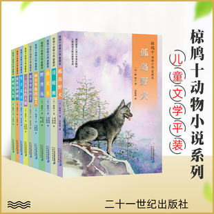 椋鸠十动物小说 生于天空月轮熊山大王孤岛野犬野鸭的友情小说爱藏本儿童文学读物8-12-14岁小学生课外书10-14岁儿童读物