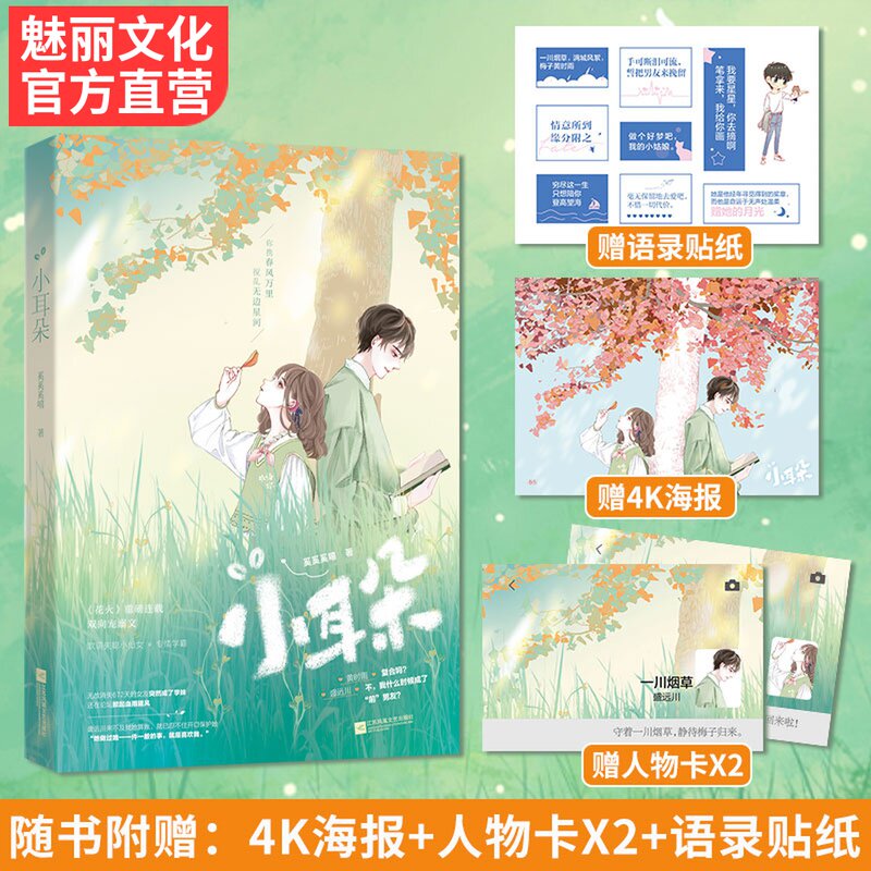 现货正版【赠海报+贴纸+人物卡】小耳朵 奚奚奚嘻著新增出版番外花火青春双向宠溺校园甜文软萌失聪小仙女x专情穷学霸正版小说属于什么档次？