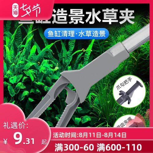 水族箱水草种植价格 水族箱水草种植图片 星期三