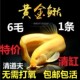 黄金泥鳅金色飞龙鳅观赏鱼活金鱼活鱼清道夫淡水鱼冷水鱼锦鲤鱼苗