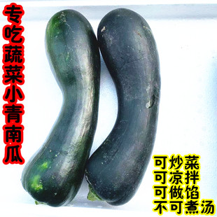 嫩南瓜新鲜蔬菜炒菜南瓜青皮南瓜鲜嫩长南瓜青倭瓜嫩倭瓜现摘整箱